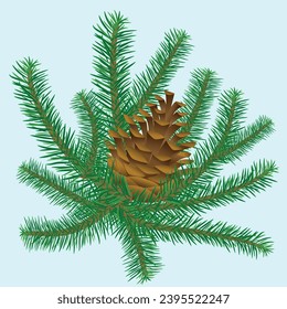 Cone on a branch of a Christmas tree or pine