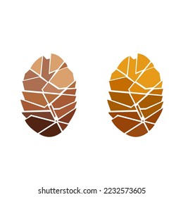 cone. pine cones.isolated illustration in vector format