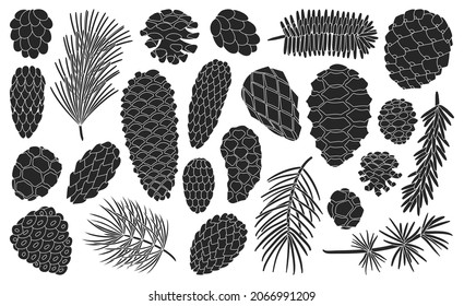 Cone pine isolated black set icon. Vector illustration spruce pinecone on white background. Vector black set icon cone pine.