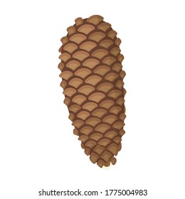 Cone pine isolated cartoon icon. Vector illustration spruce pinecone on white background. Vector cartoon illustration icon cone pine.