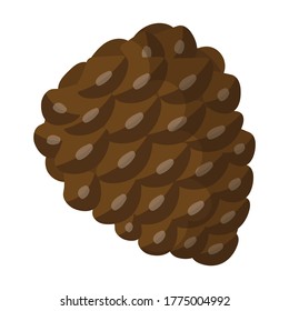 Cone pine isolated cartoon icon. Vector illustration spruce pinecone on white background. Vector cartoon illustration icon cone pine.