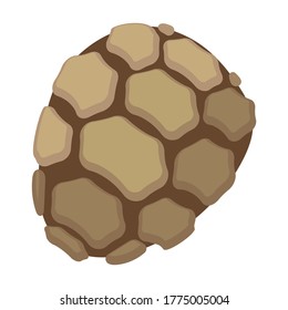 Cone pine isolated cartoon icon. Vector illustration spruce pinecone on white background. Vector cartoon illustration icon cone pine.