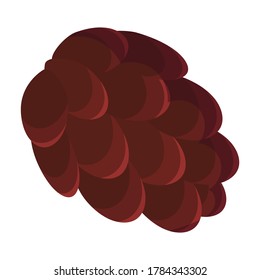 Cone pine isolated cartoon icon. Vector illustration spruce pinecone on white background. Vector cartoon illustration icon cone pine.