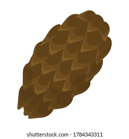 Cone pine isolated cartoon icon. Vector illustration spruce pinecone on white background. Vector cartoon illustration icon cone pine.