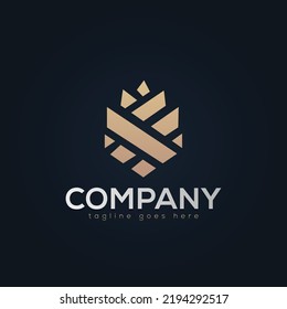 Cone, Pine Cone Nature Logo Design