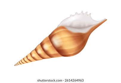 Cone seashell illustration with realistic details, showcasing natural brown and white tones perfect for coastal or marinethemed projects and educational content with copy space.