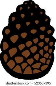 Cone. Vector illustration of a cone. Hand drawn coniferous cone.
