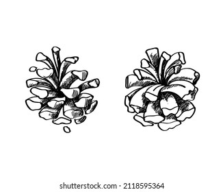 Dibujo vectoral de cono, dibujo a mano de pensil o pluma