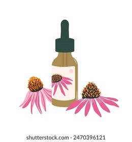 Coneflower essential oil in a dropper bottle with Echinacea flower. Natural wellness and herbal therapy. Vector hand drawn flat illustration.