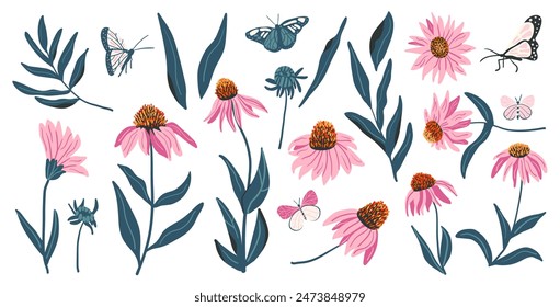 Coneflower-Set isoliert auf weißem Hintergrund. Purple Echinacea Wildflowers Kollektion. Vektorgrafik Handgezeichnete flache Illustration.