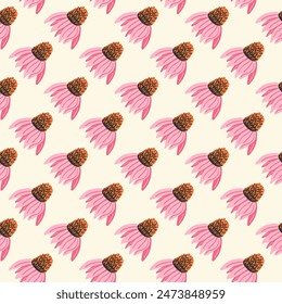 Coneflowers buds seamless pattern. Purple echinacea flower endless background. ornament. Vector hand drawn illustration.