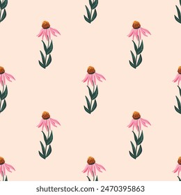 Coneflowers seamless pattern. Floral endless background. Purple echinacea flower ornament. Happy summer rustic mood. Vector hand drawn illustration.