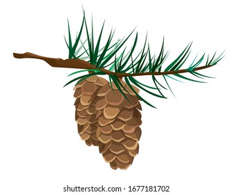 Cones on branch. Vector illustration in cartoon style.