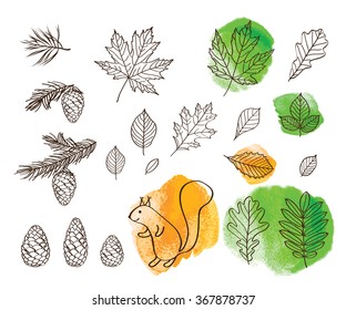 Cones, spruce and pine spruce, squirrel. Leaves of trees on a green and yellow watercolor background. Hand drawn elements for your design. Sketch, design elements. Vector illustration.