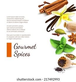 Confectionery gourmet spices food product decorative elements on white background vector illustration