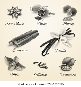 Confectionery spices decorative elements black and white isolated vector illustration