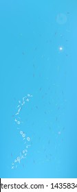 Confetti. Background modern.  Colorful clean abstraction. Blue colored theme.