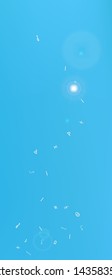 Confetti. Background modern.  Colorful clean abstraction. Blue colored theme.