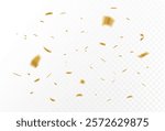 Confetti explosion on a transparent background. Shiny shiny golden paper pieces fly and spread around.simple design. EPS 10