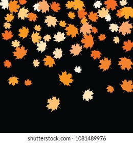 Confetti of multicolored leaves isolated on white background.Falling confetti from minimalistic maple leaves. Abstract leaf for label, card, poster, cover, leaflet, textile design.