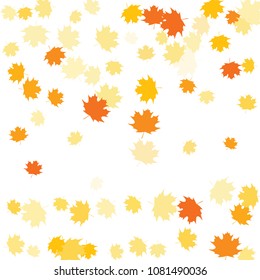 Confetti of multicolored leaves isolated on white background.Falling confetti from minimalistic maple leaves. Abstract leaf for label, card, poster, cover, leaflet, textile design.