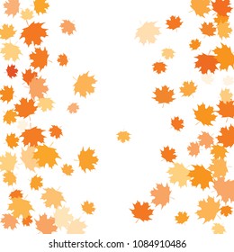 Confetti of multicolored leaves isolated on white background.Falling confetti from minimalistic maple leaves. Abstract leaf for label, card, poster, cover, leaflet, textile design.