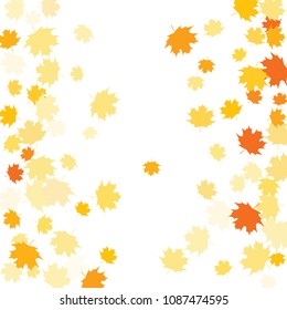 Confetti of multicolored leaves isolated on white background.Falling confetti from minimalistic maple leaves. Abstract leaf for label, card, poster, cover, leaflet, textile design.