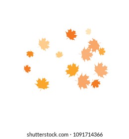 Confetti of multicolored leaves isolated on white background.Falling confetti from minimalistic maple leaves. Abstract leaf for label, card, poster, cover, leaflet, textile design.