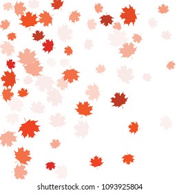 Confetti of multicolored leaves isolated on white background.Falling confetti from minimalistic maple leaves. Abstract leaf for label, card, poster, cover, leaflet, textile design.