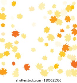 Confetti of multicolored leaves isolated on white background.Falling confetti from minimalistic maple leaves. Abstract leaf for label, card, poster, cover, leaflet, textile design.