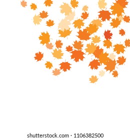 Confetti Multicolored Leaves Isolated On White Stock Vector (Royalty ...