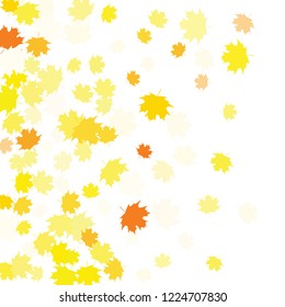 Confetti of multicolored leaves isolated on white background.Falling confetti from minimalistic maple leaves. Abstract leaf for label, card, poster, cover, leaflet, textile design.