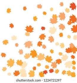 Confetti Multicolored Leaves Isolated On White Stock Vector (Royalty ...