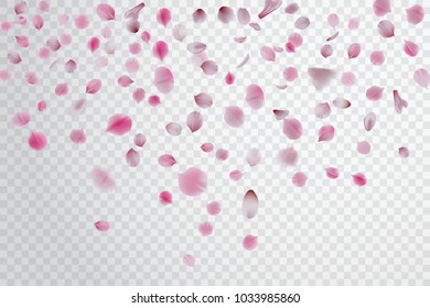 Confetti with sakura petals. Vector stock.