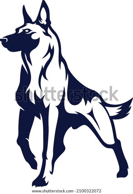 Confident Belgian\
Malinois (Shepherd) Dog\
