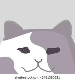 Confuse Cat with Dusty Rose and Pure White Patches. Cat with Dusty Rose and Pure White Patches Confuse 