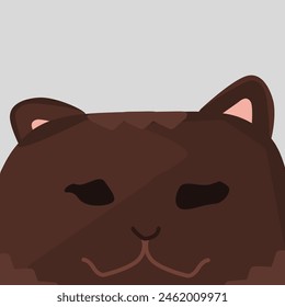 Confuse Sleek Dark Chocolate Cat with Espresso Accents. Cat with Espresso Accents Confuse Sleek Dark Chocolate 