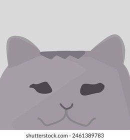 Confuse Smoky Charcoal Grey Cat with Dusty Rose Accents. Cat with Dusty Rose Accents Confuse Smoky Charcoal Grey