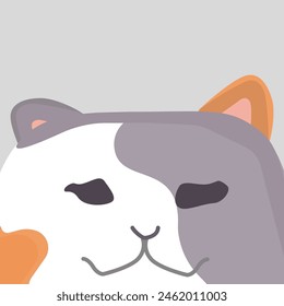 Confunde el gato tricolor con las manchas naranja llama, rosa polvorienta y blanco puro. Gato con manchas de color naranja llama, rosa polvorienta y blanco puro confunden el tricolor 