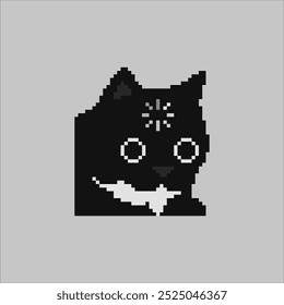 Confused cat, cat meme pixel art