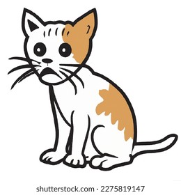 gato confuso es perfecto para memes