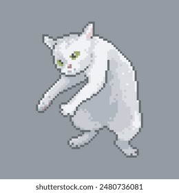 Confused cat, pixel art meme