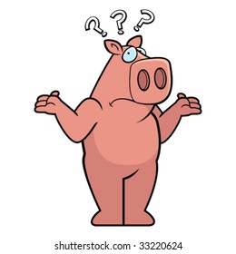 Confused Pig