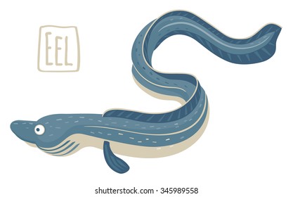 Conger Eel, vector illustration