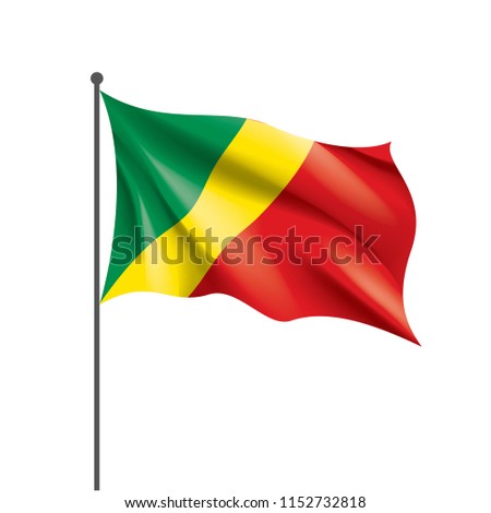 Congo flag, vector illustration on a white background