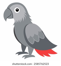 Congo grey parrot. African bird with red tail and gray feathers.African Grey Parrot. Tropical birdie from Africa. Exotic fauna.Suitable for education poster infographic guide catalog, children's books