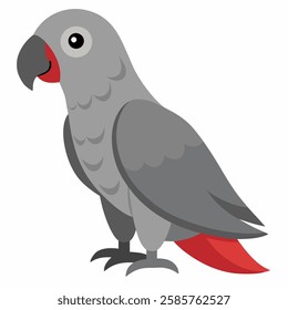 Congo grey parrot. African bird with red tail and gray feathers.African Grey Parrot. Tropical birdie from Africa. Exotic fauna.Suitable for education poster infographic guide catalog, children's books