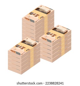 Kongolesische Franc-Vektorgrafik. Kongo-Geld-Paket-Banknoten. Papiergeld 5000 CDF. Flacher Stil. Einzeln auf weißem Hintergrund. Einfaches minimales Design.