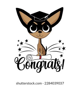 Congrats - cute dog in graduate cap and certificate or diploma. Good for greeting card, postcard, T shirt print, poster, label and other gifts design.