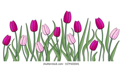 Congratulation banner with tulips. March 8 - International Women's Day. Tulip alley. Colorful pink, violet tulips with green leaves  isolated. Photo-realistic vector illustration. Spring  art flowers